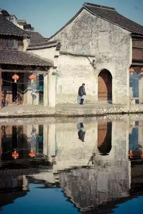 云南一公园里白狮子腿部溃烂 知情人:被同笼舍动物抓伤,已药物处理