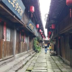 行尸走肉：第二季