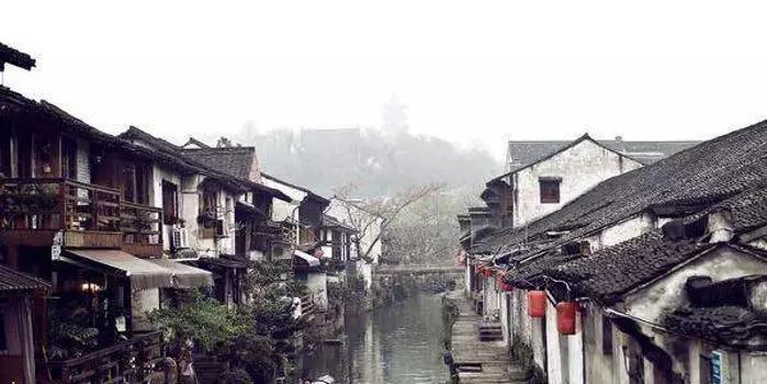 铁皮石斛的功效与作用,你敢尝试吗?
