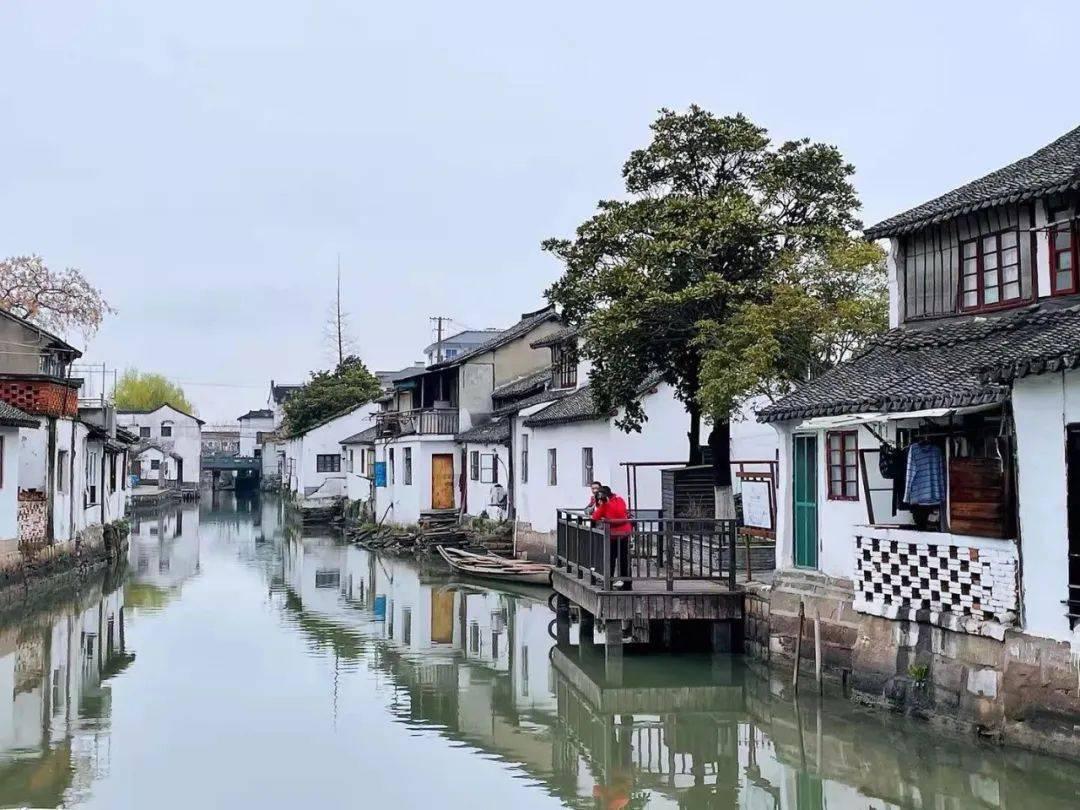 驱灵师