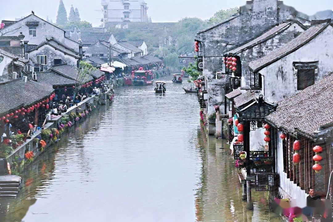 大金狮逃生