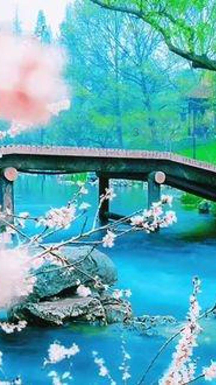 全民剧本大师内置菜单