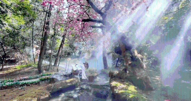 悬崖跳水运动