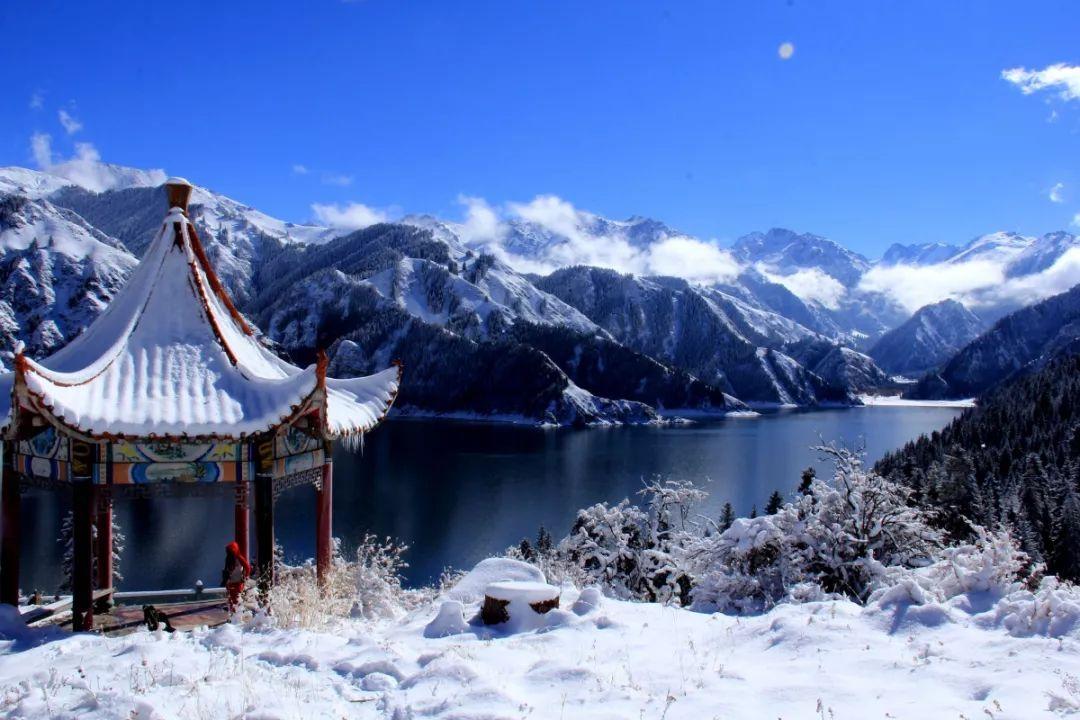异形星球塔防